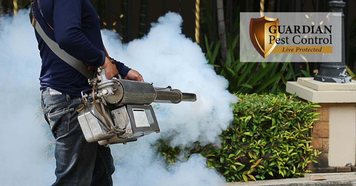 What Is Fumigation and How Does It Take Care of Insects?